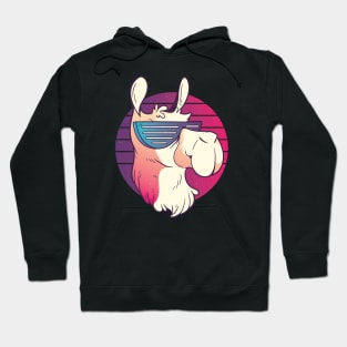 Retro Llama Hoodie